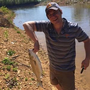 Meet your Posher, Willie